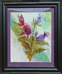 Eryngo