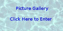 Picture Gallery