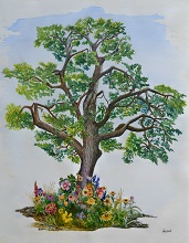 The Mighty Oak